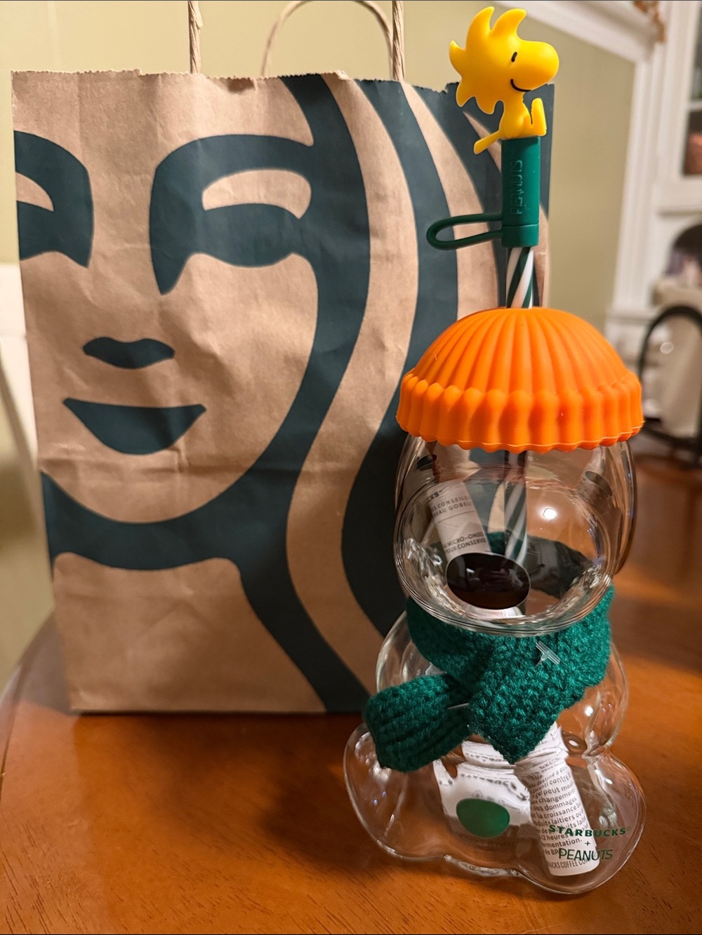Starbucks Clear Glass snoopy Tumbler with Orange Lid and Green Scarf